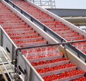 Vegetable Conveyor Thumbnail