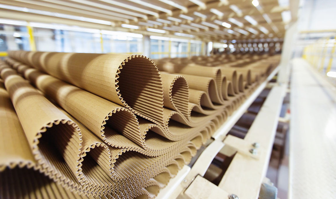 Paper Conveyor Belt