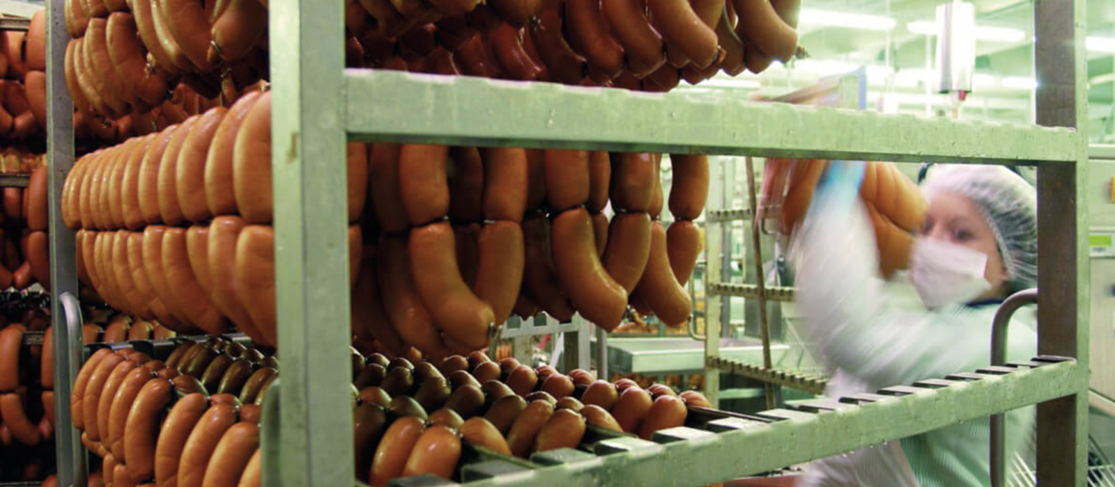Conveyor Belt