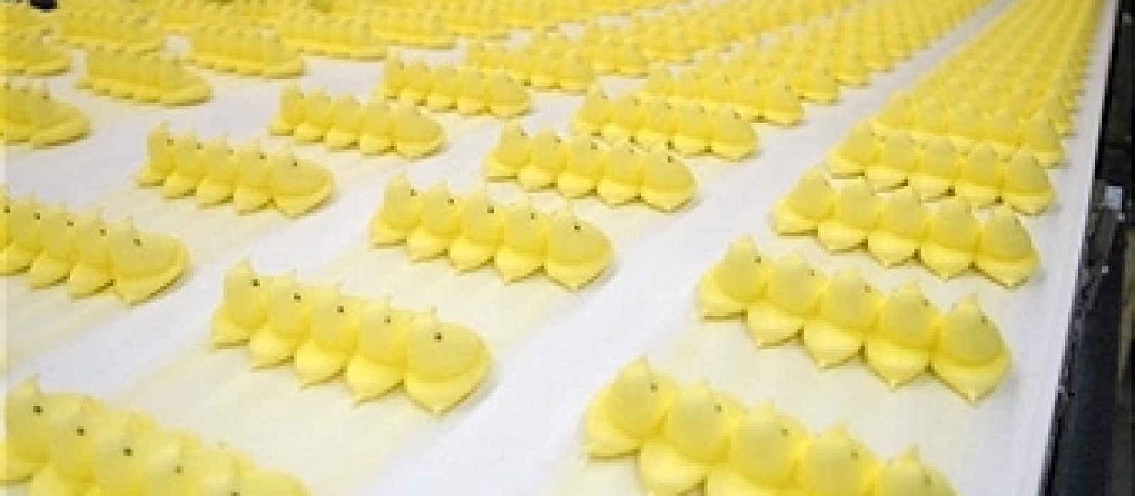 Peeps Conveyor