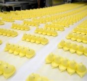 Peeps Conveyor